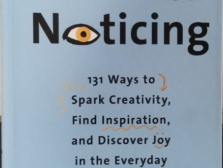 View and Review "THE ART OF NOTICING"