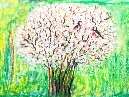 BEAUTIFUL ENCHANTING TREES of Summers