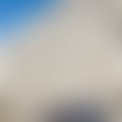 Buying Shipping Containers Online? Here's How Not to Get Scammed!