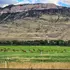 Herd of elk grazing in a green meadow beneath rugged cliffs and a cloudy blue sky, with a quiet pastoral mood.