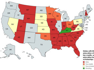 29 states now have some form of ESA, education choice tax credit, or education tax scholarship 