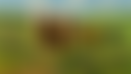 Idaho’s “C.O.W.” problem is great for economic growth