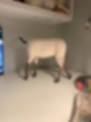 Needle Felted Animals