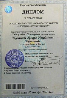 журналист ДИП.JPG