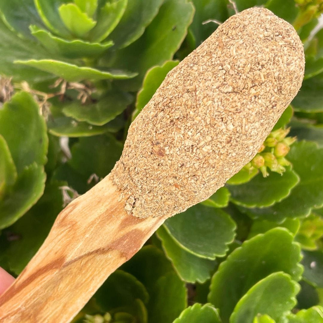 Pau Santo com Sávia