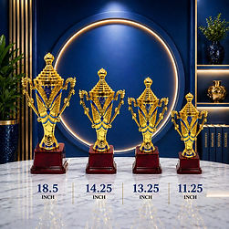 Trophies (11)