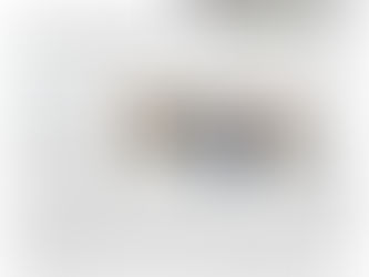 Gli ospiti del Vittorio E.(PC) si raccontano agli amici della classe 3^primaria di Civitanova Marche