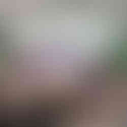 Roundtable gathering