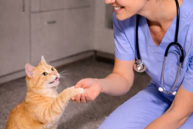 New Project (10) (5).jpg