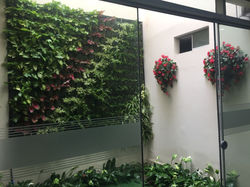 Jardines verticales interiores