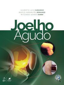 Chapter from the Book "Joelho Agudo": Anatomy of the Anterior Cruciate Ligament