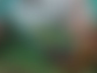 Why are fixed rates still rising? And when might they drop again?