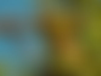 Sneaky rate hikes – is your lender behind them?