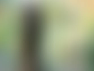 Breaking out of mortgage prison: can easing serviceability buffers help?