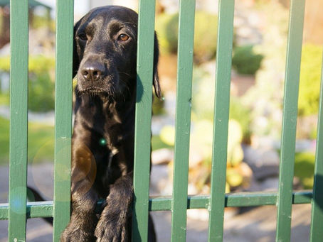 Breaking out of mortgage prison: can easing serviceability buffers help?