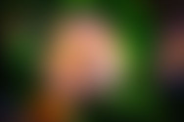 18 OF THE MOST COMMON FISH DISEASES and Guide to purchasing the best fish medication