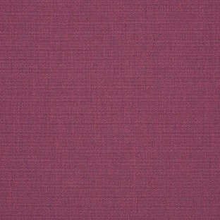 canvas iris