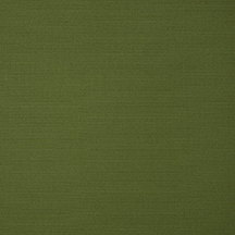 canvas palm