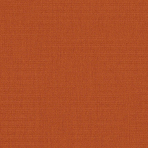 canvas rust