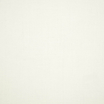 canvas white