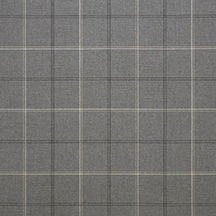 paradigm stone