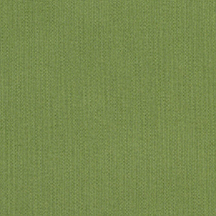 spectrum cilantro