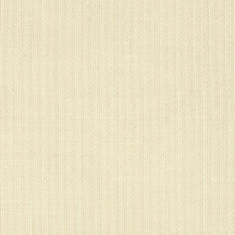 shadow snow