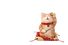 a176bb8835a94a0a9d88c7b3b071453d_edited.