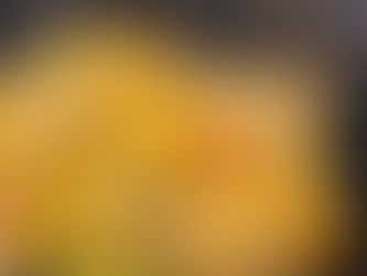 Creamy Baked Chicken & Wild Rice Primavera