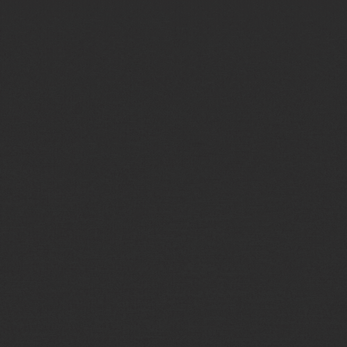 zizianywhere.gif