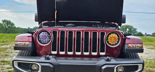 Purple and Blue Headlight Eyeballs | ZKD Customs