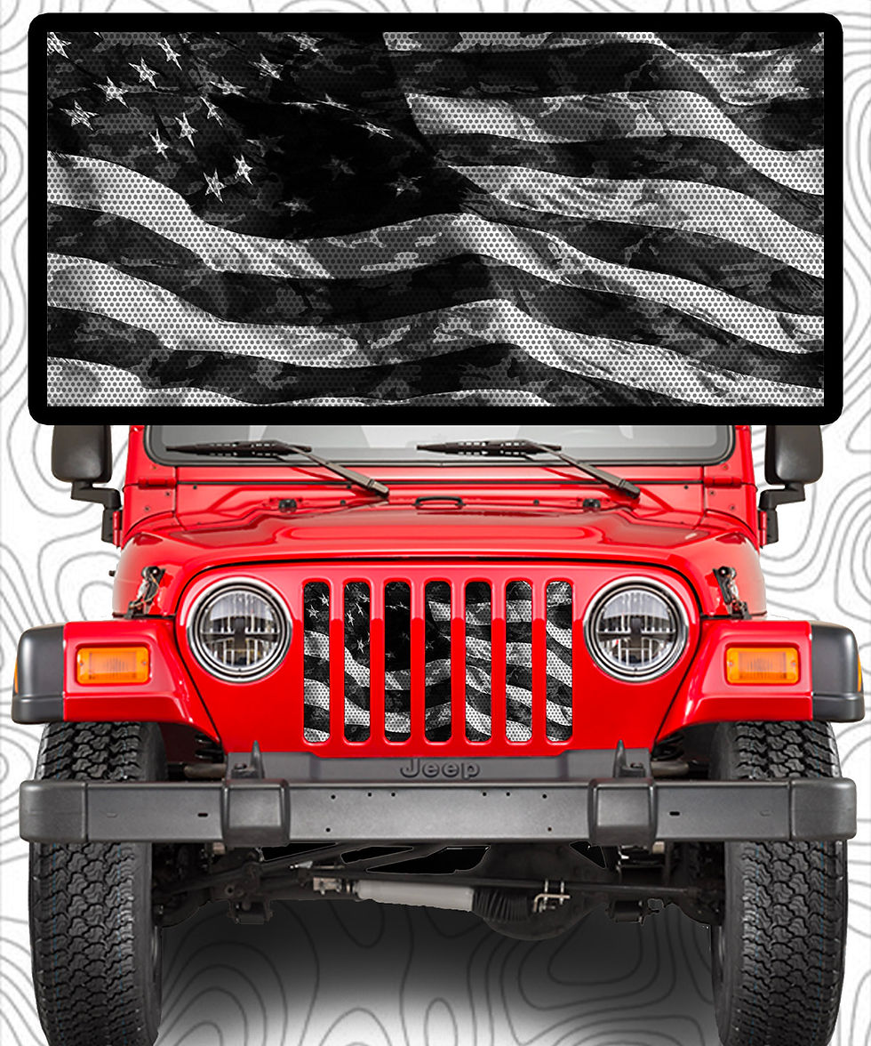 Thumbnail: Gray Scale USA Flag