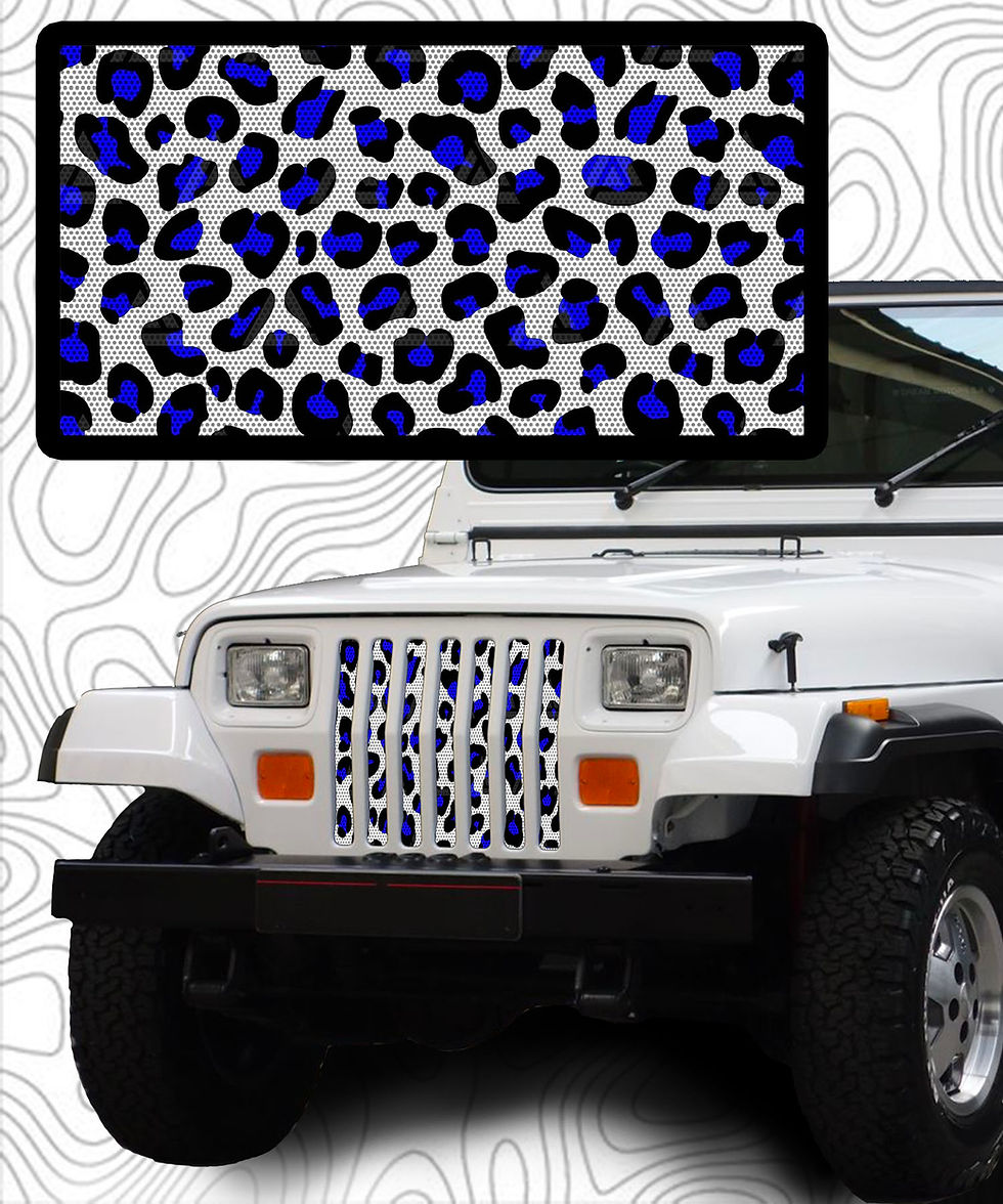 Thumbnail: Black, White and Blue Leopard Print