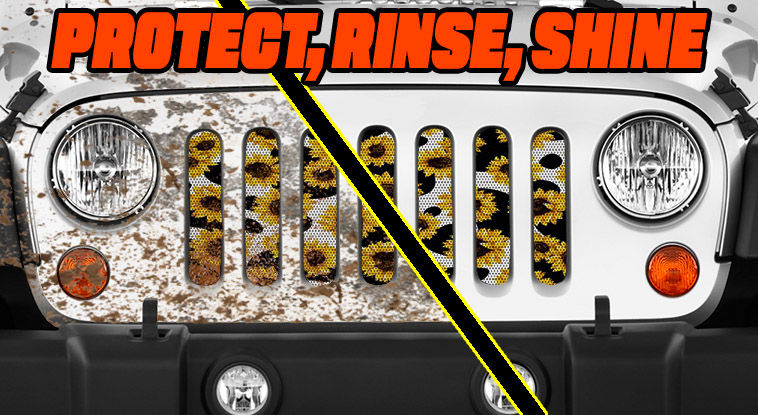 Thumbnail: Cow Print Sunflower