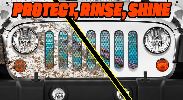 Thumbnail: Coral Sea Turtle