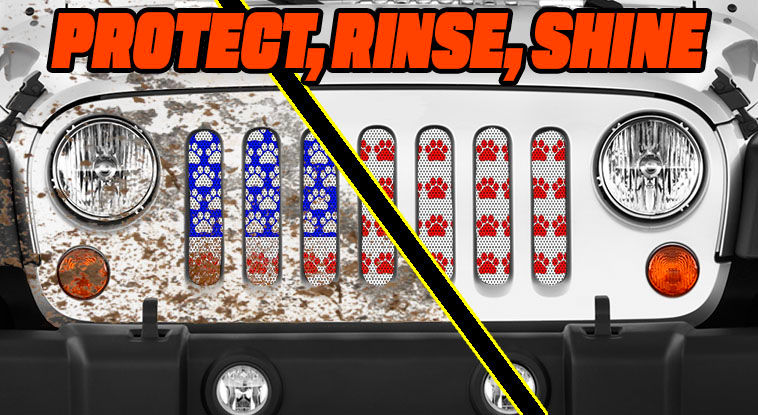 Thumbnail: USA Paw Flag