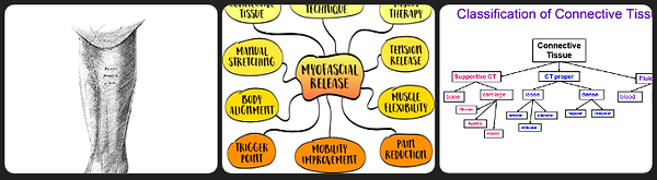 fascia.png