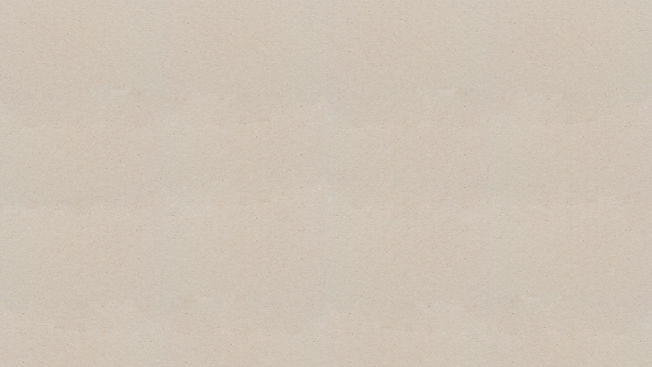FONDO.jpg