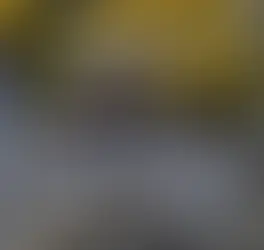 O que aprendi com o Ipê Amarelo