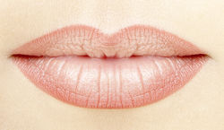 lipliner