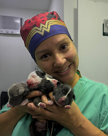 Veterinária da Clínica Veterinária Gardênia Azul segurando filhotes de cachorro
