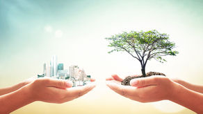 #InsightsIn5: The necessity of a GLOCAL perspective