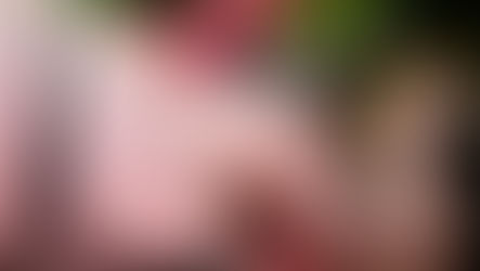 DOWN THE RABBIT HOLE