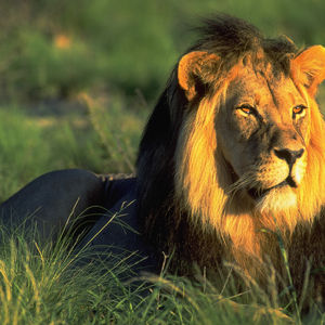 Fuji Velvia - Dunes and Days