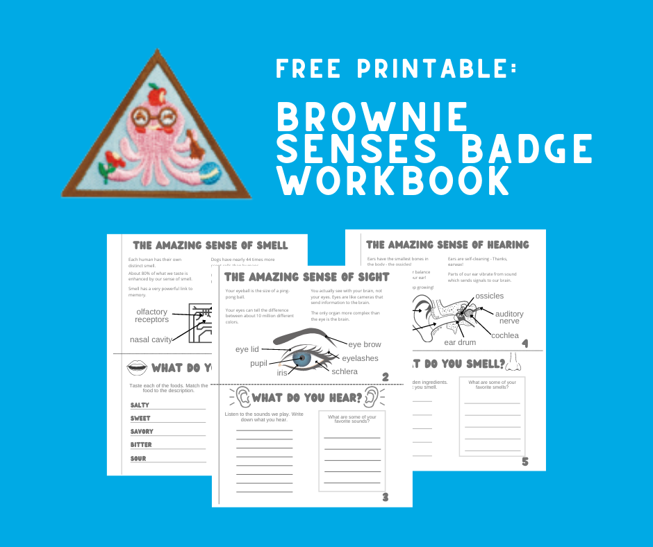Printable for Brownie Badge Senses Worksheet TroopLeaderHub