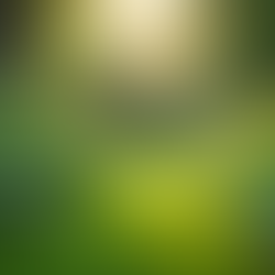 From Vision to Legacy