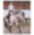 _Tara Orlin bitless riding.jpg