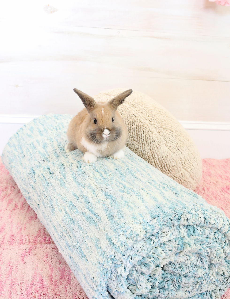 Miniature : Lorena Canals Mix Tapis