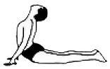Bhujangasana-Cobra-Sivananda-London_edited.png