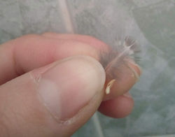 IMG20220306070224_edited